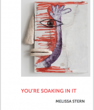 Melissa Stern: You're Soaking in It - Catalogue