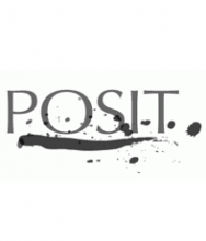 Posit Issue 11, Visual Artists